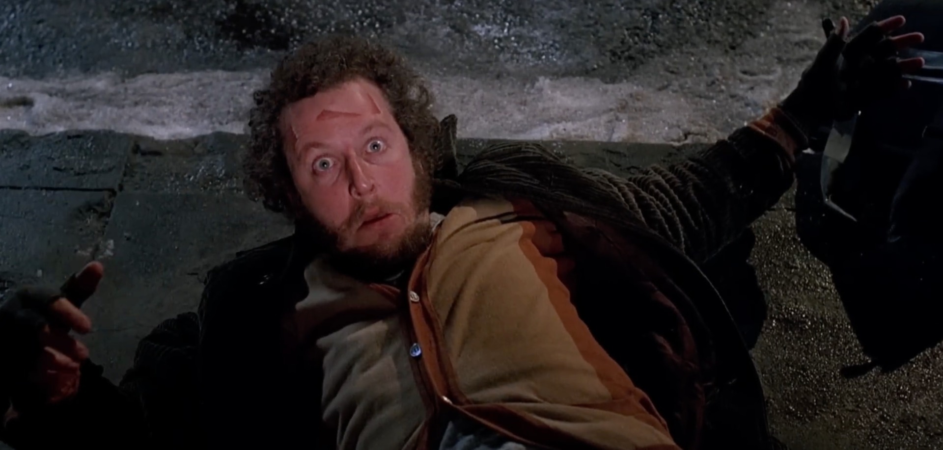 Actor Home Alone Daniel Stern