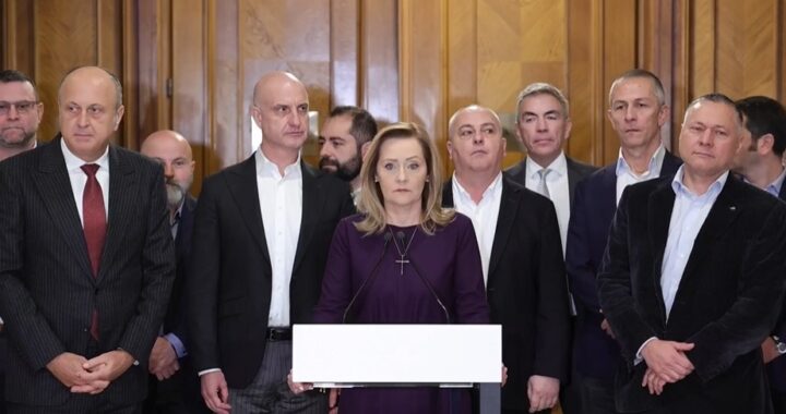 Elena Lasconi declaratii mediu de afaceri