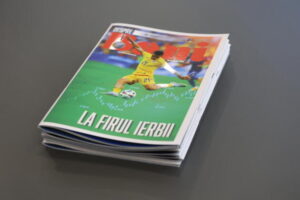 FRF ASF manual educatie financiara fotbalisti