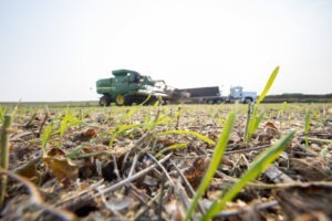 cargill agricultura