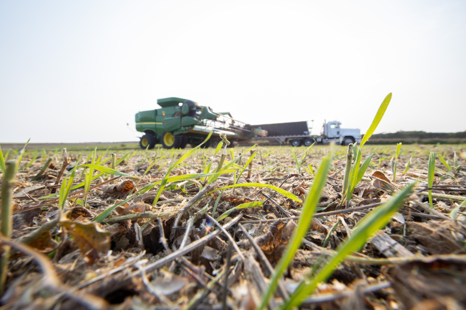 cargill agricultura
