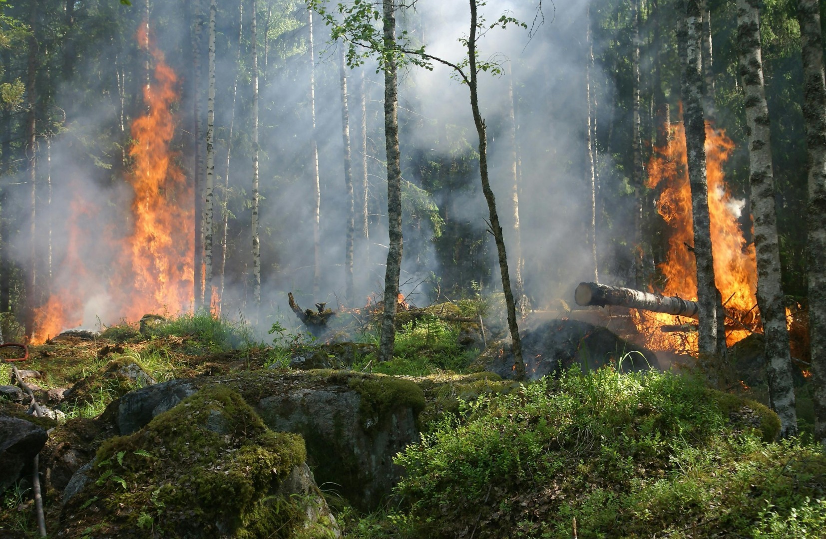 incendiu, foc