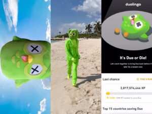 collage duolingo instagram g4media