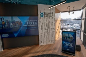 fidelis bvb