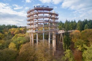Treetop Walk Brașov