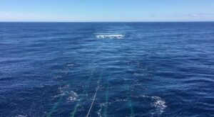 Oceanul Pacific
