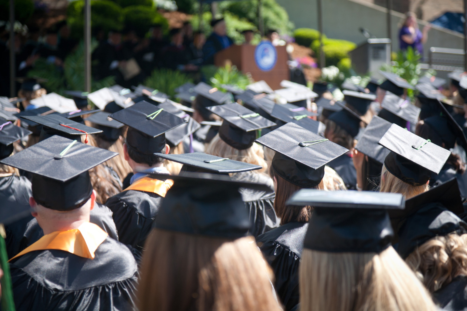 studenti la absolvire