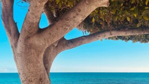 grecia mare litoral foto g4media