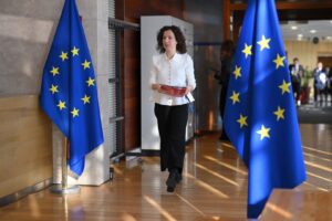 roxana minzatu vicepresedinte al ce