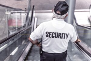 security, firma paza