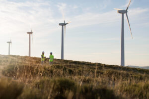 doi barbati printre turbine eoliene