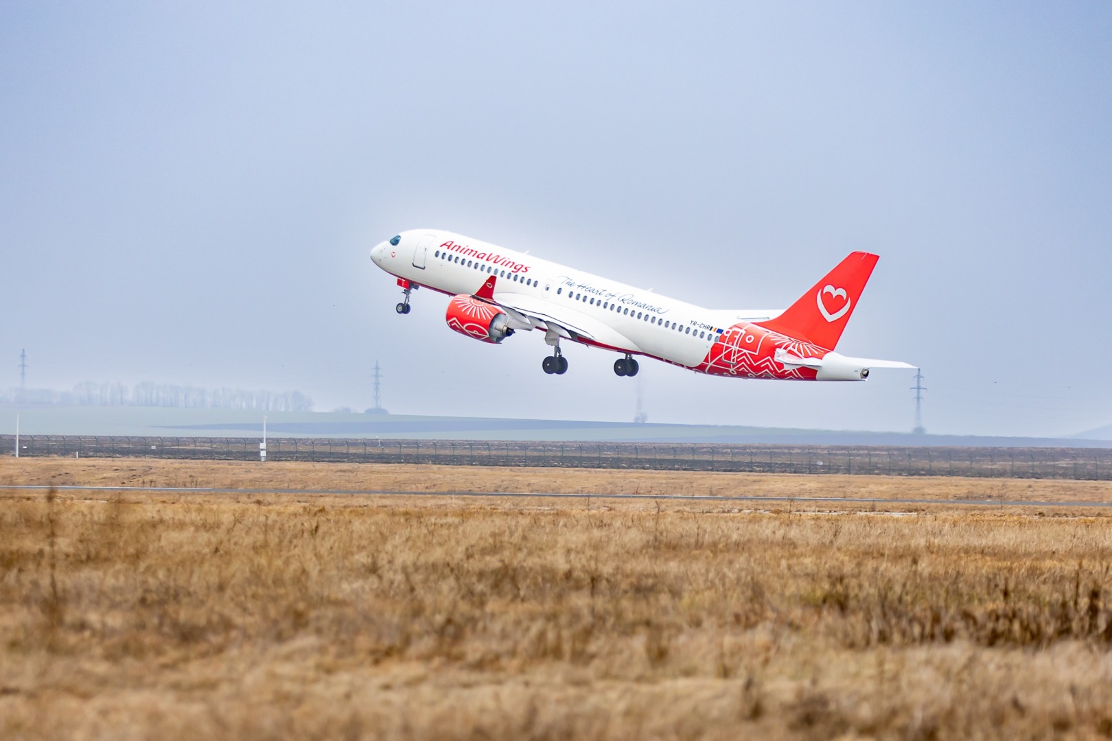 Avion, AnimaWings, Companie aeriană românescă, noi rute de vacanță