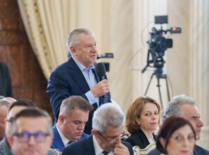 Radu Berceanu