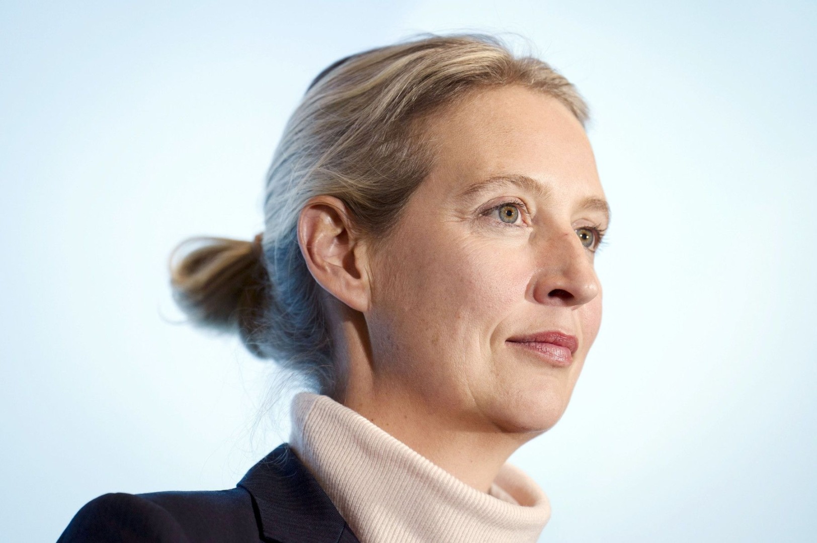 alice weidel, lidera afd