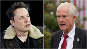 musk-navarro