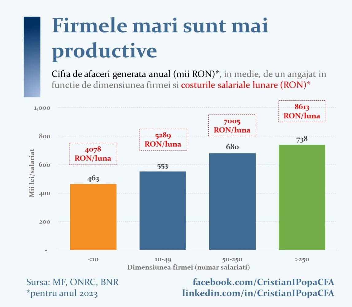 tabel Cristian Popa analiza productivitate firme