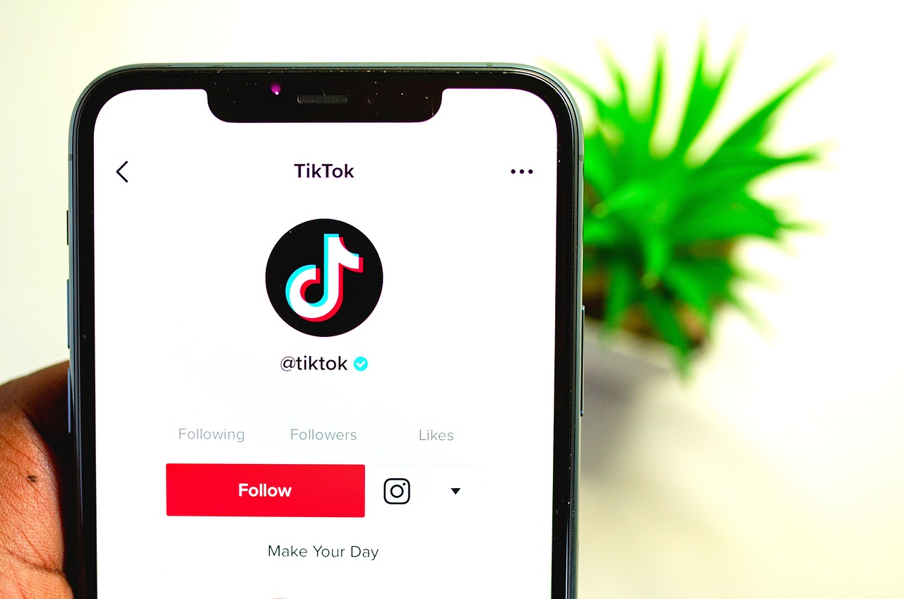 TikTok, Aplicație, Centru Electoral, Alegeri România,