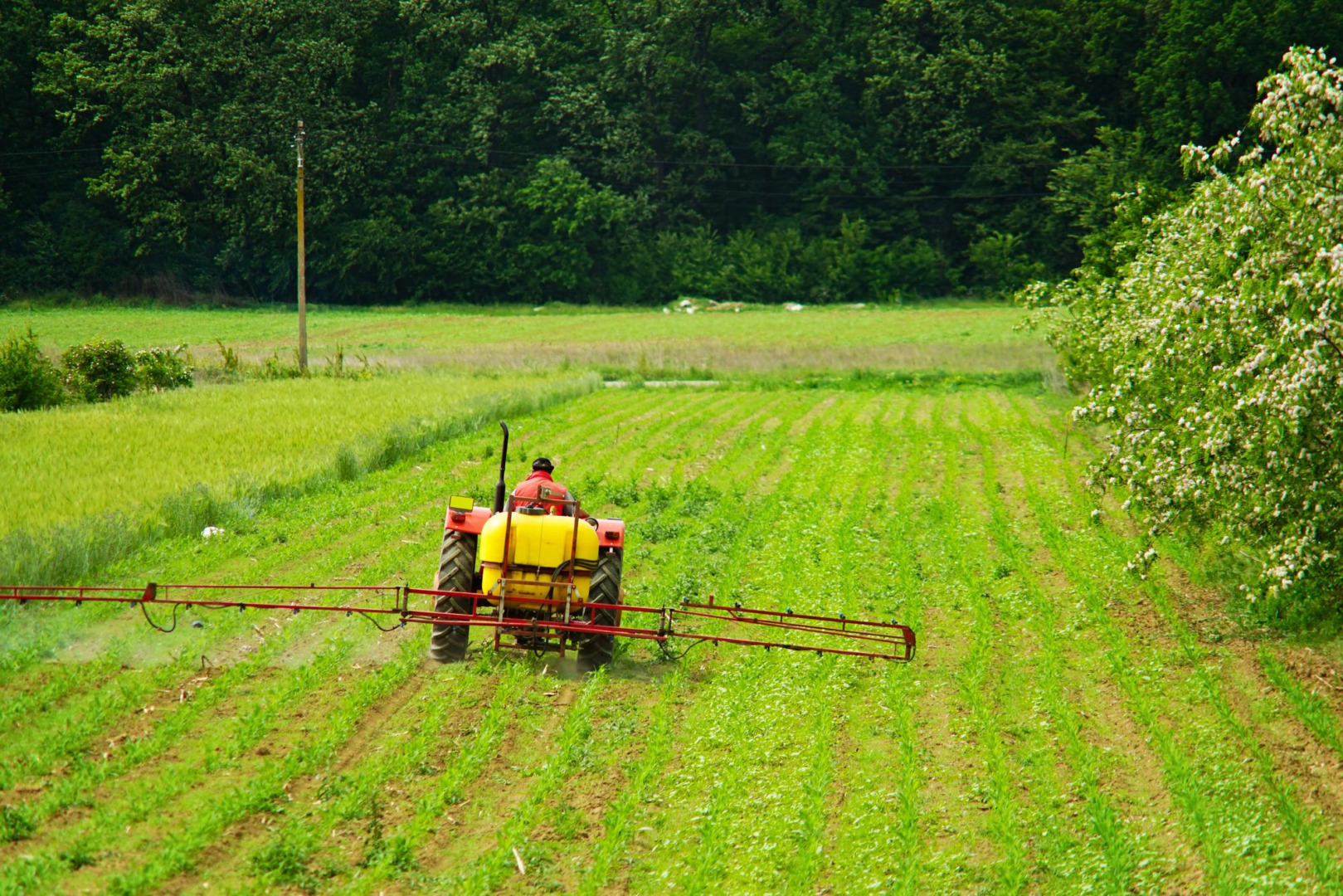 un tractor împrăștie substanțe pe un câmp