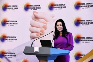 Andreea Negru, Antreprenoare, Președinta PEFA, Index PEFA
