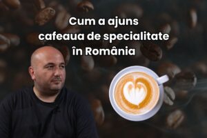 Mihai Panfil Origo