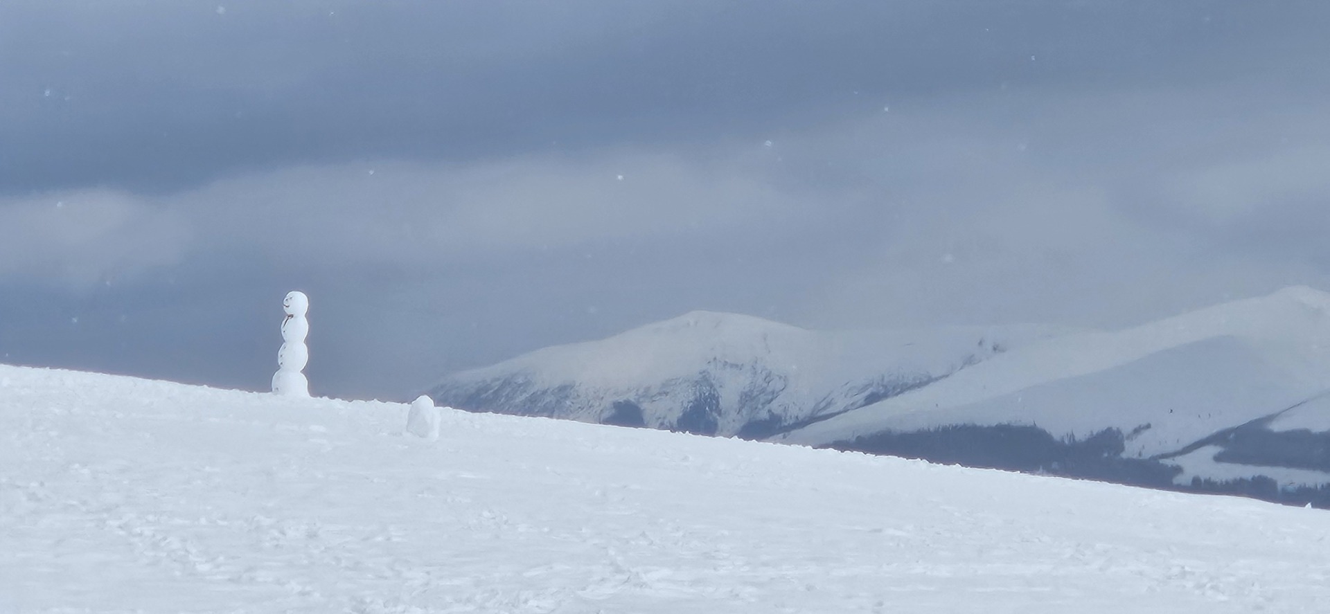 Transalpina zapada