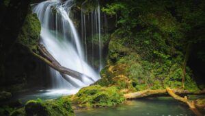 Cascada Tamina, excursie, natură