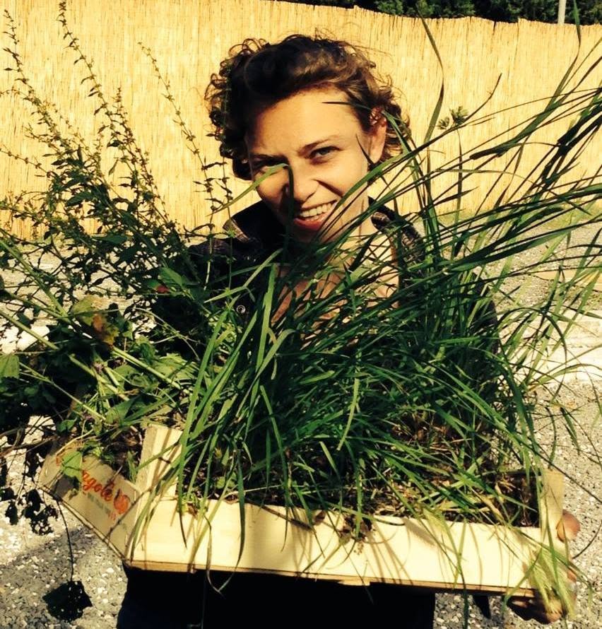 ana horhat peisagist