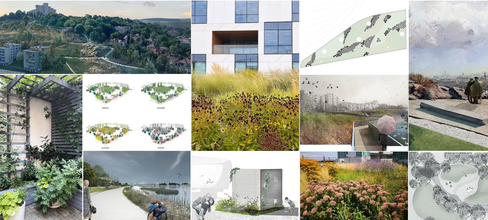 Studio Ana Horhat proiecte