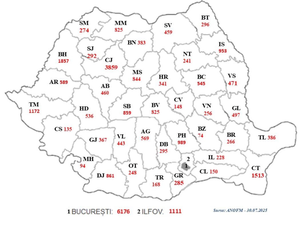 harta locuri munca anofm